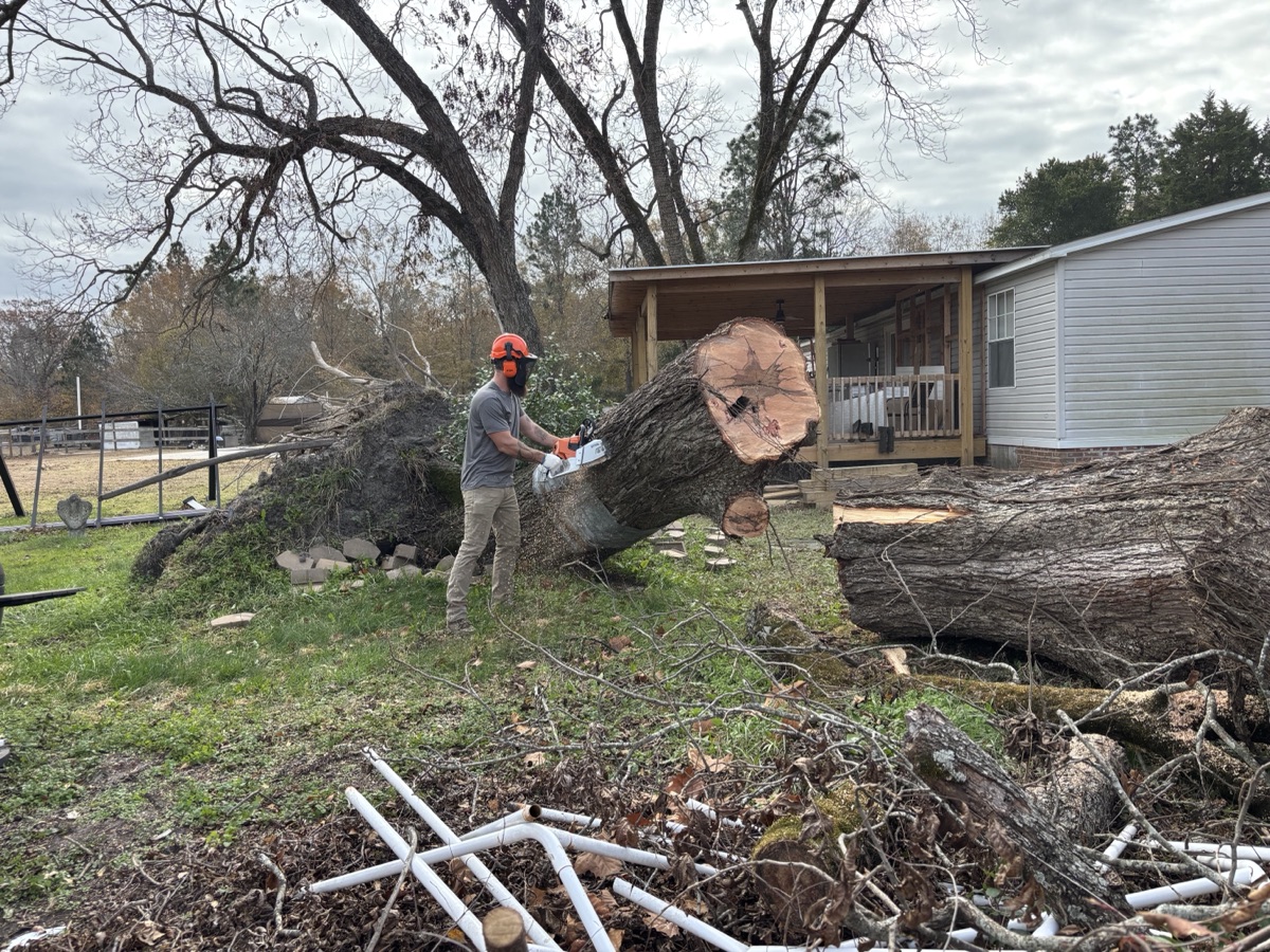 Emergency tree removal crew cutting fallen oak tree with chainsaw after storm damage in Lexington SC