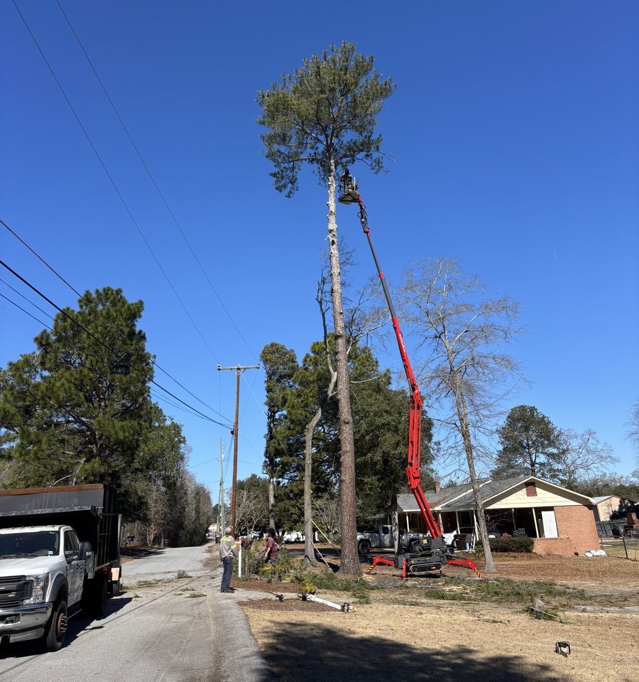 Taylored Lawns spider lift reaching 100 feet for professional tree removal