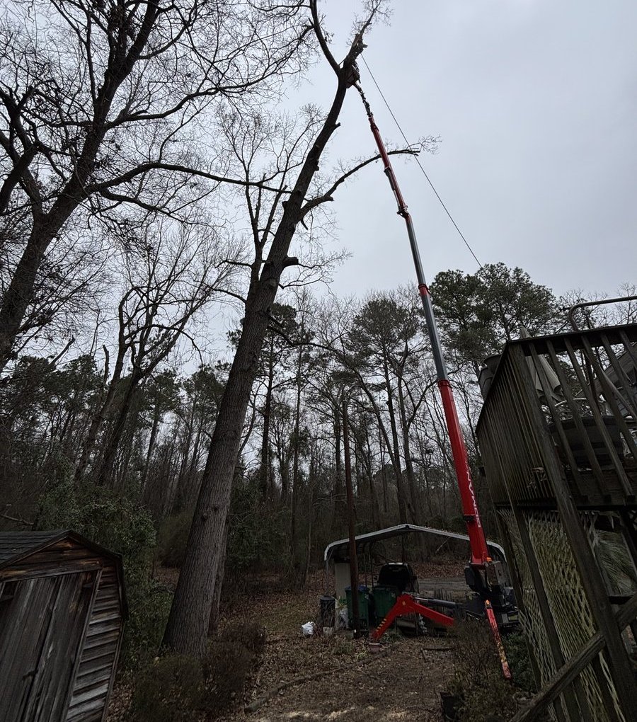 Spider lift fitting through tight access for tree removal in West Columbia SC