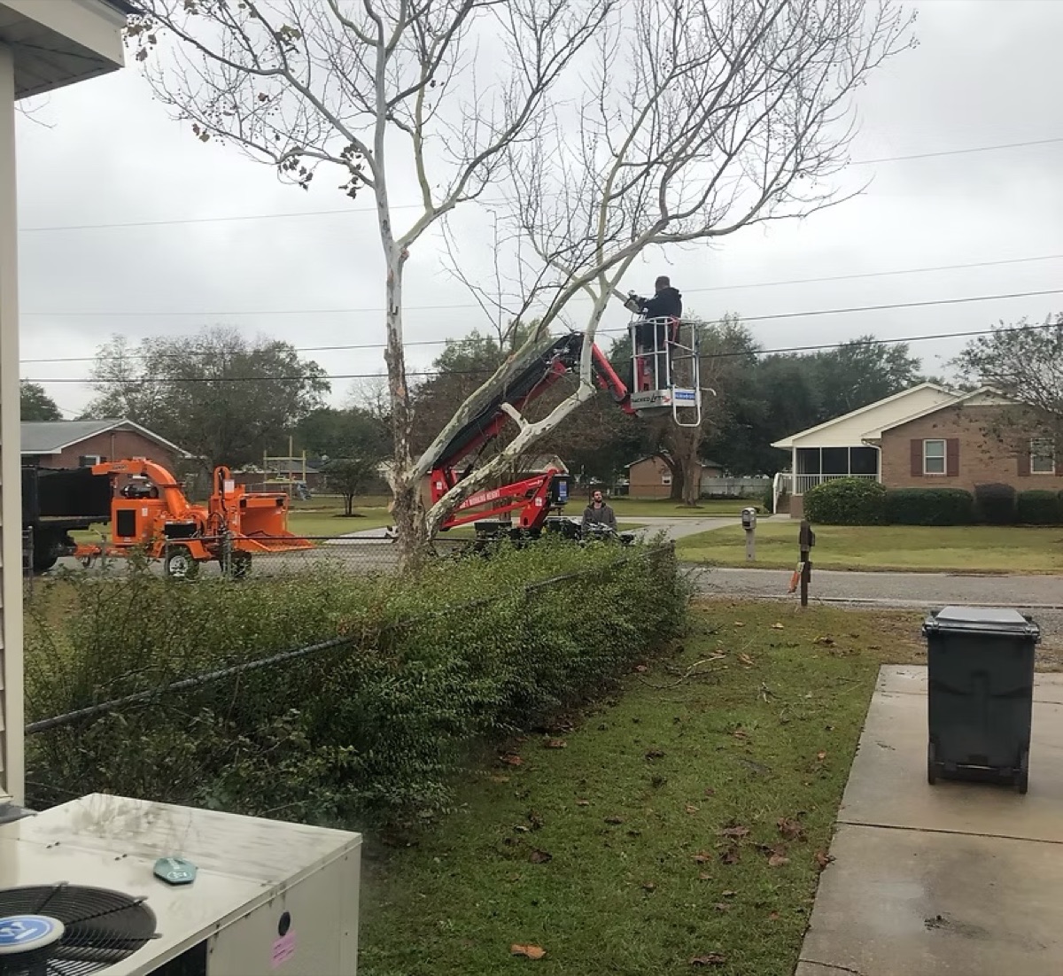 Emergency spider lift tree removal at residential neighborhood in South Carolina