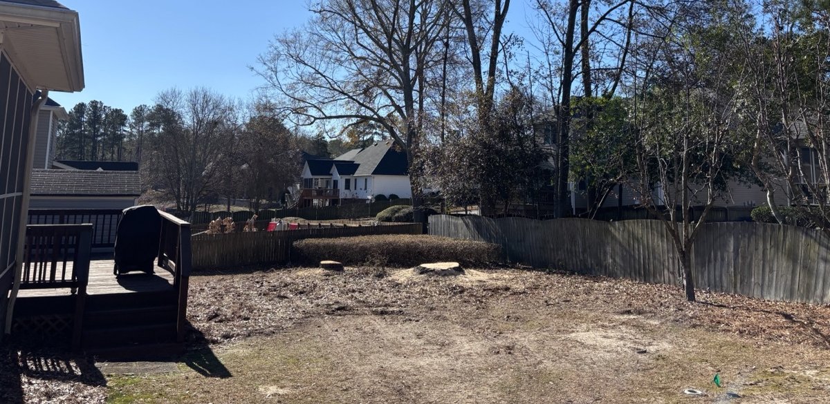 Backyard cleared after professional stump grinding service in Lexington SC